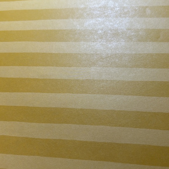 CTMH scrapbook paper - Picture 11 of 14